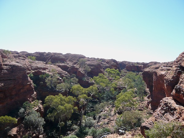 AustraliaAdelaide 10  132